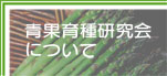 青果育種研究会について